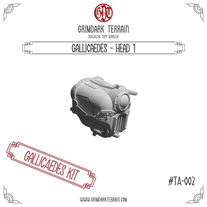 Gallicaedes - Head 1