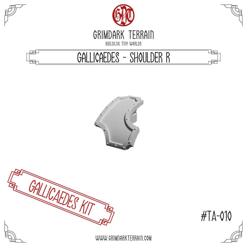 Gallicaedes - Shoulder R